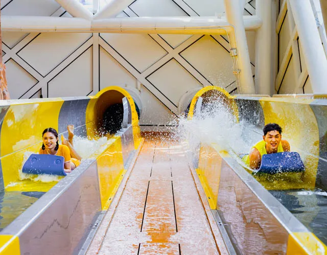 Cosmic Racer detials