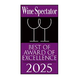 Best of award of excellence 2025