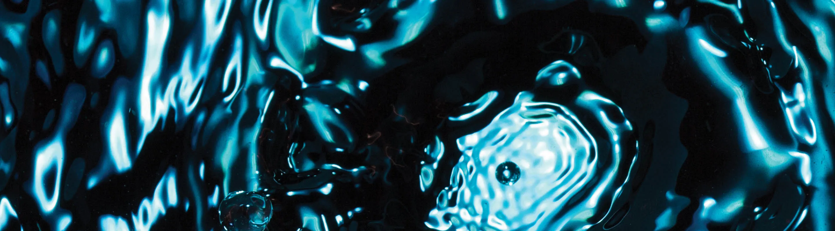 attraction banner